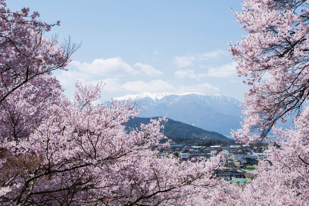 伊那・駒ヶ根エリア